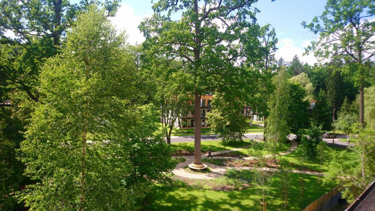 Enklawa Bialowieska Forest & Spa Hajnówka 外观 照片
